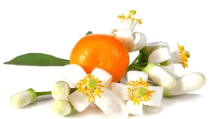 Tisana ai fiori d'arancio